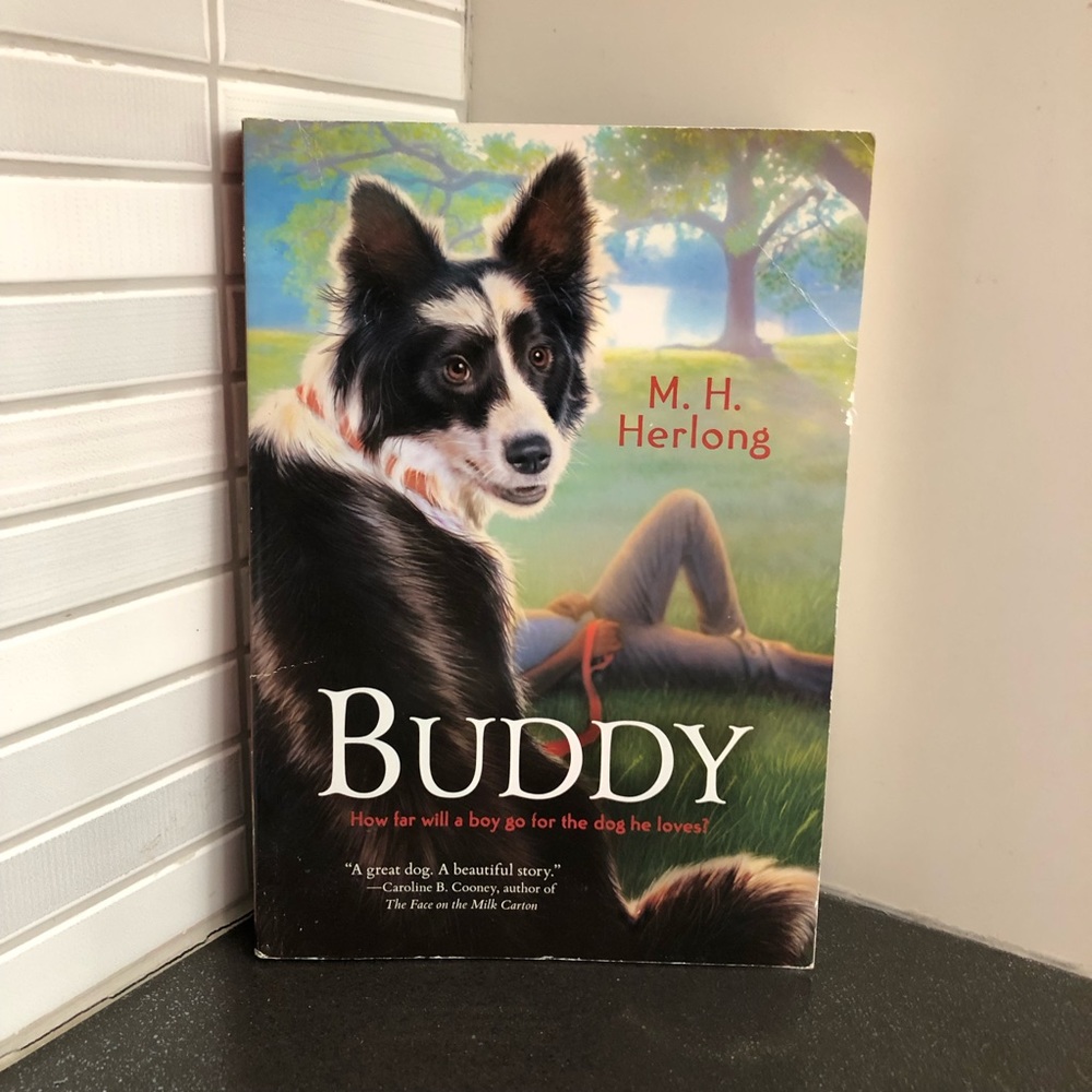 Buddy kids paperback book